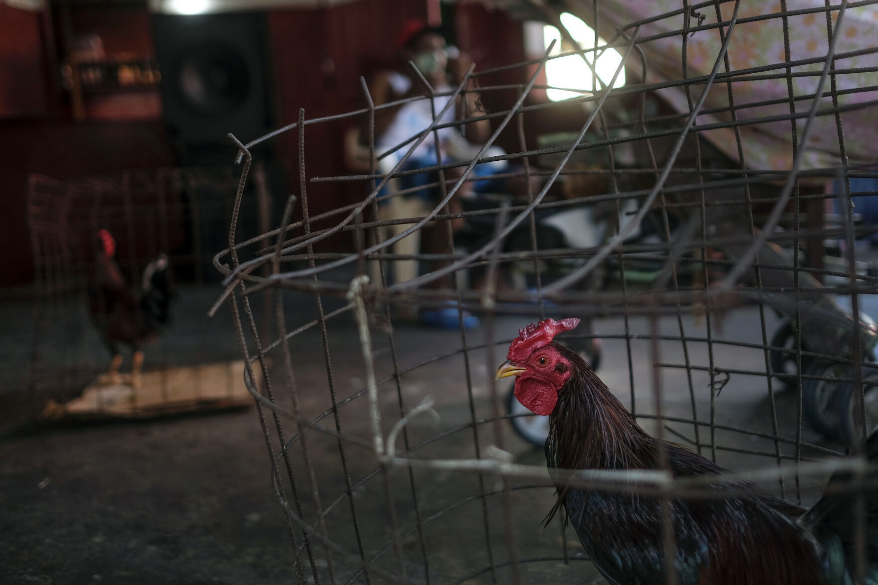 APTOPIX Dominican Republic Haiti Daily Life
